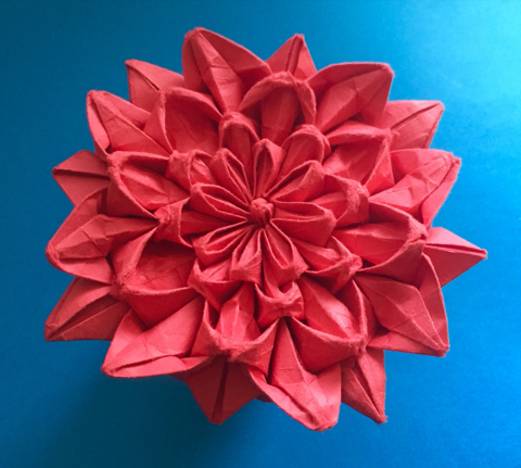 Dahlia v1