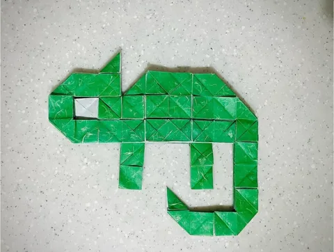 Color Changing Chameleon