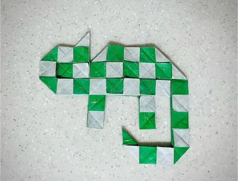 Color Changing Chameleon