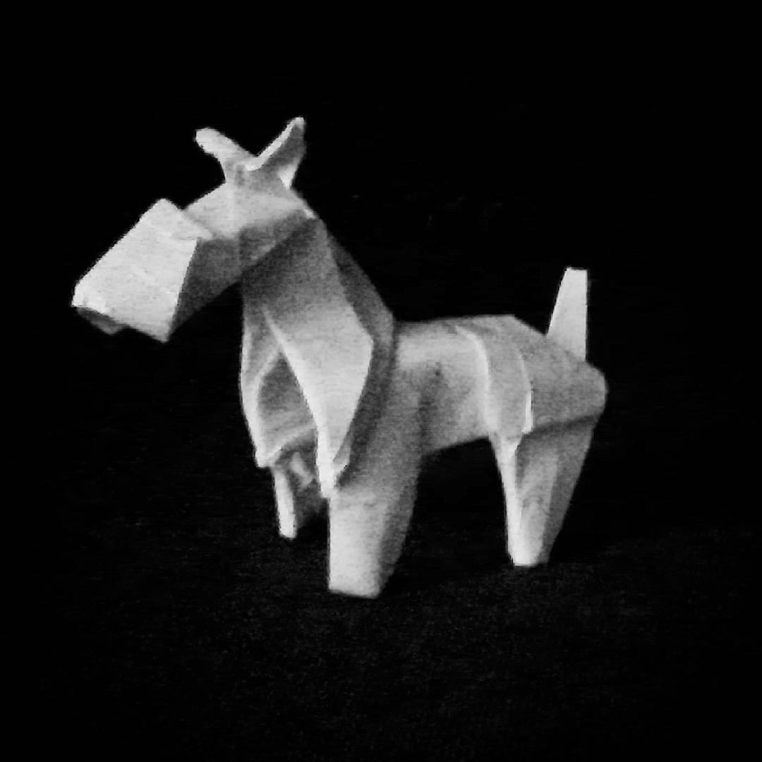 Fox Terrier - Roman Diaz