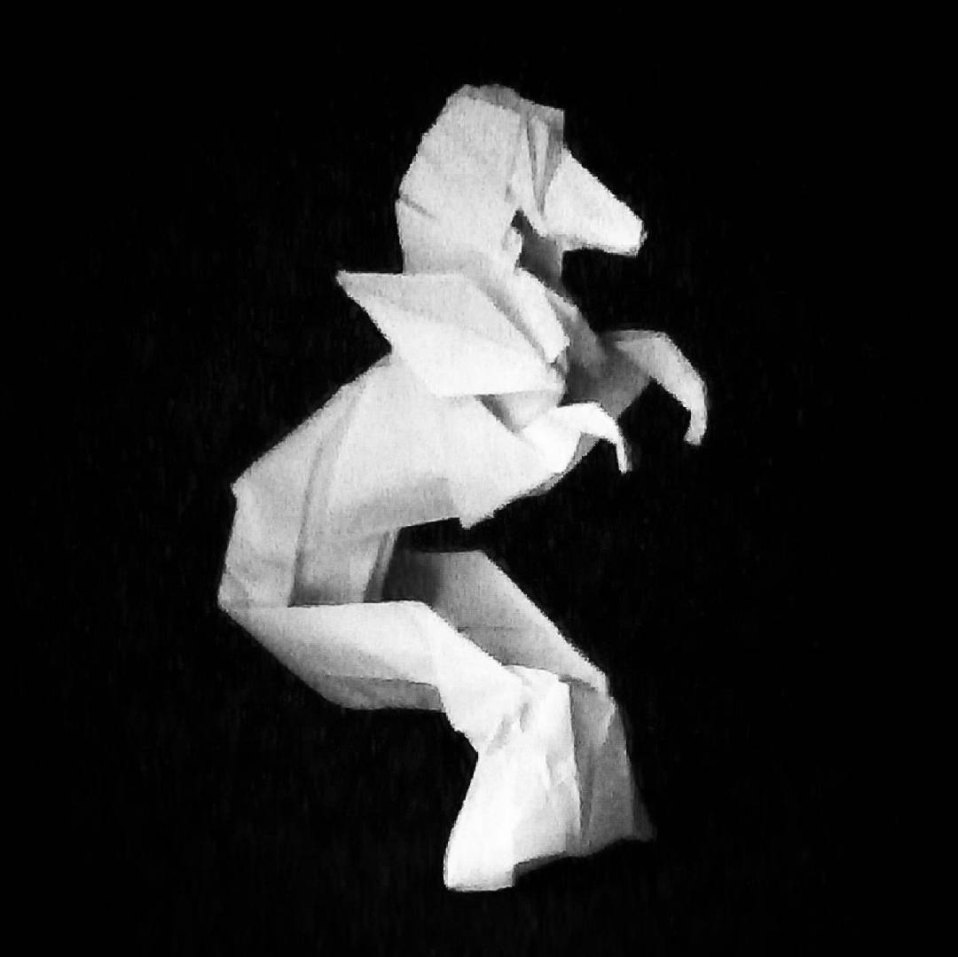 Hippocampus - Roman Diaz