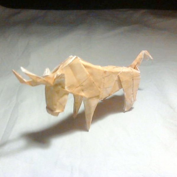 Bull - Stephan Weber