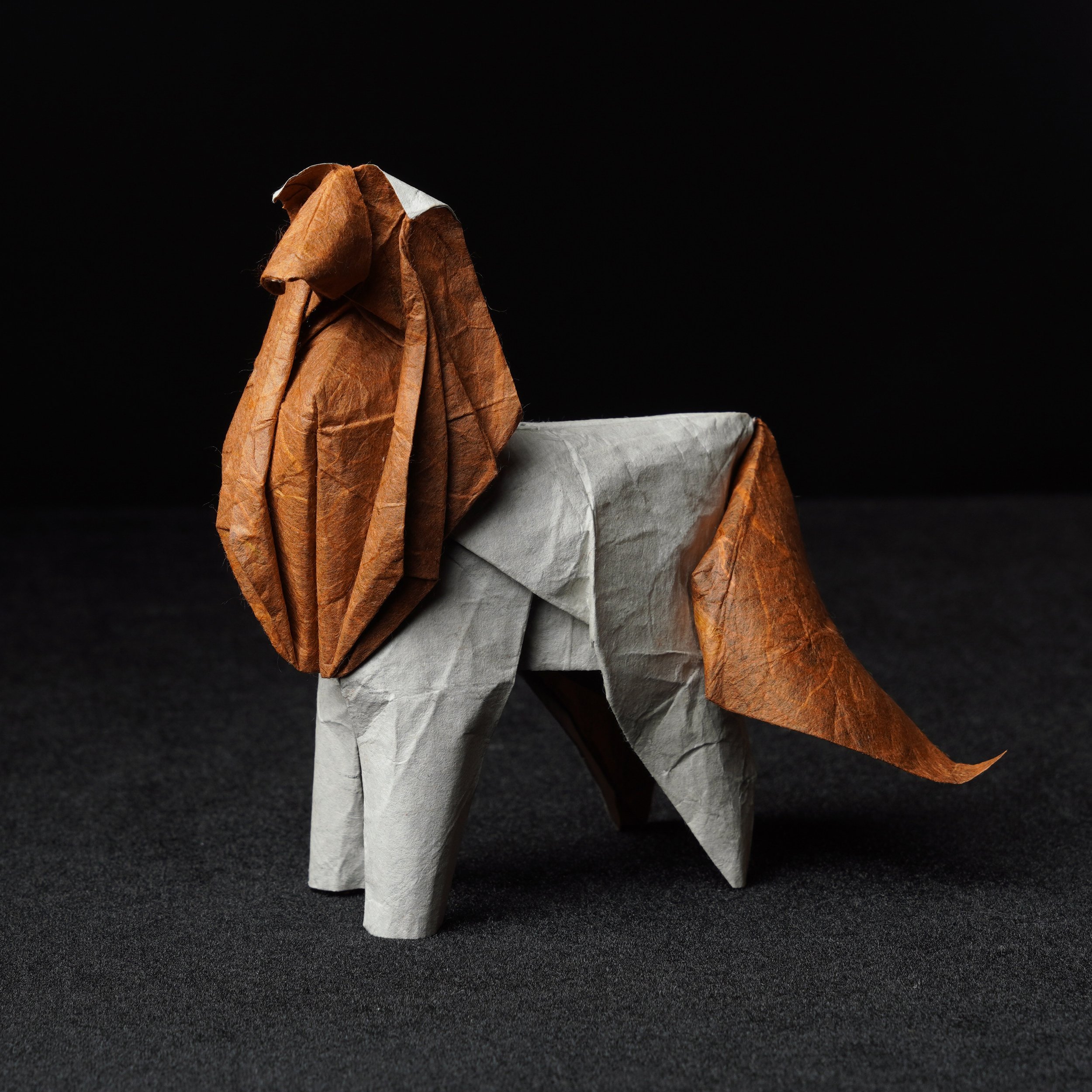 IOIO X — 1 раунд