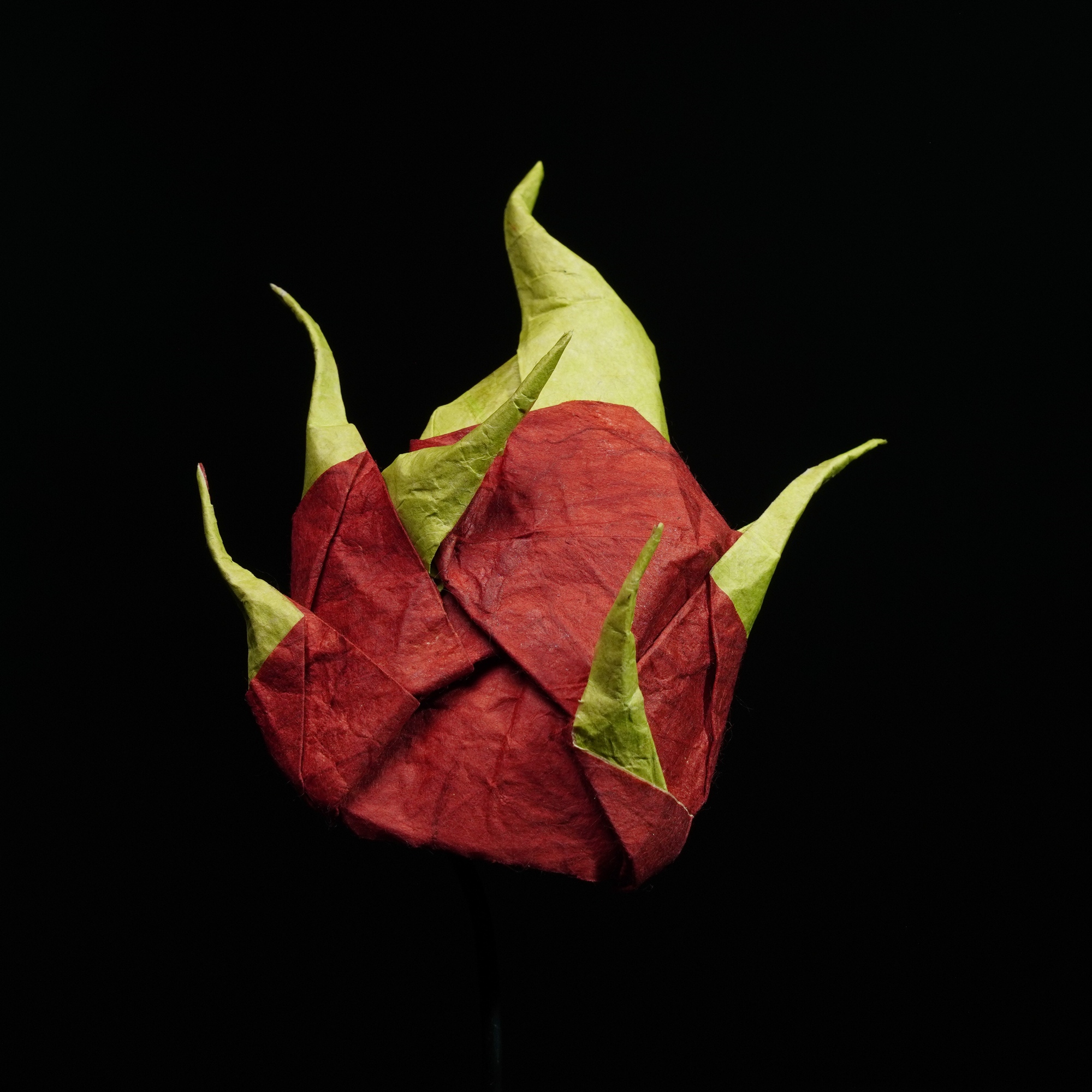 Dragon Fruit — Sam Hesp (IOIO X)