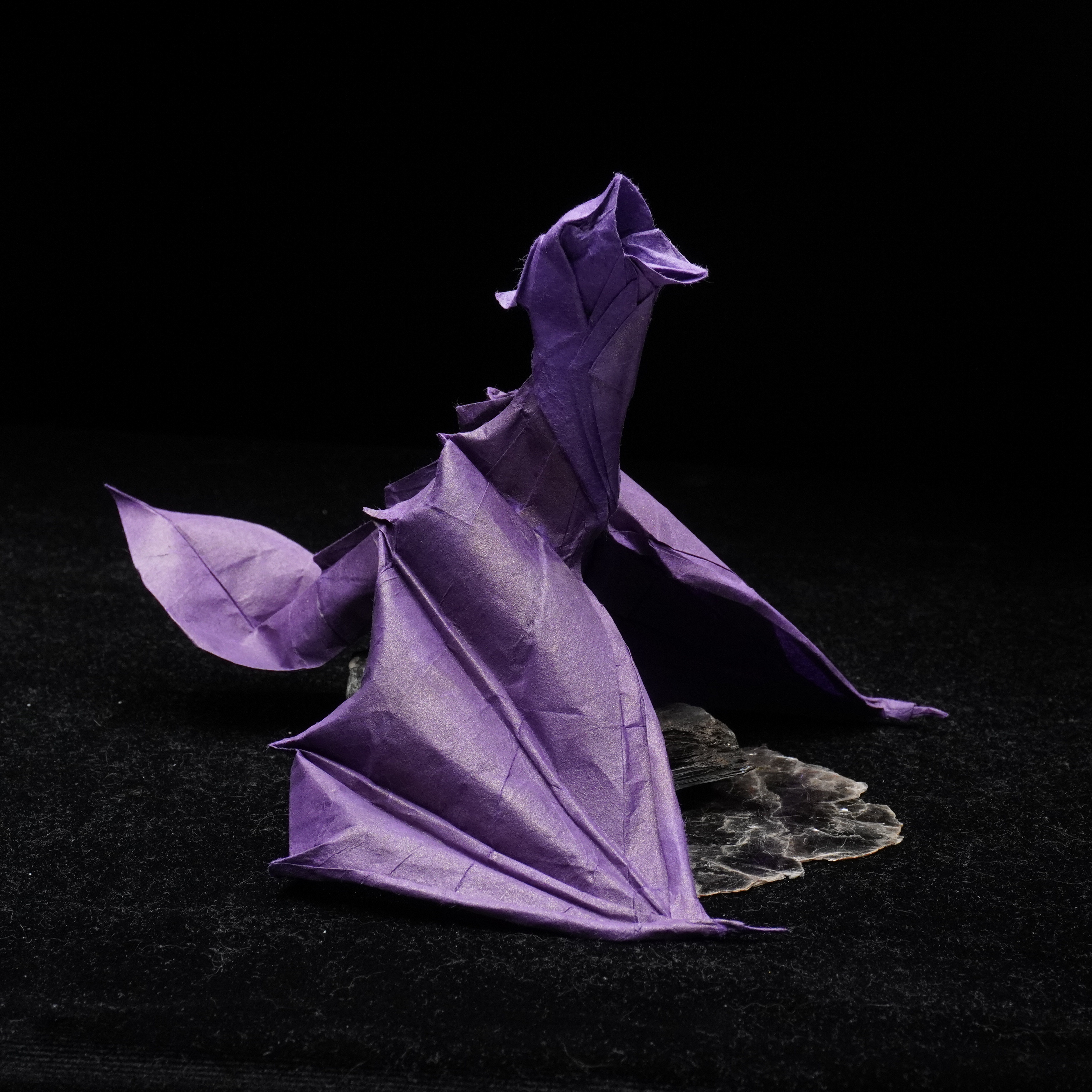 Wyvern — Boice Wong