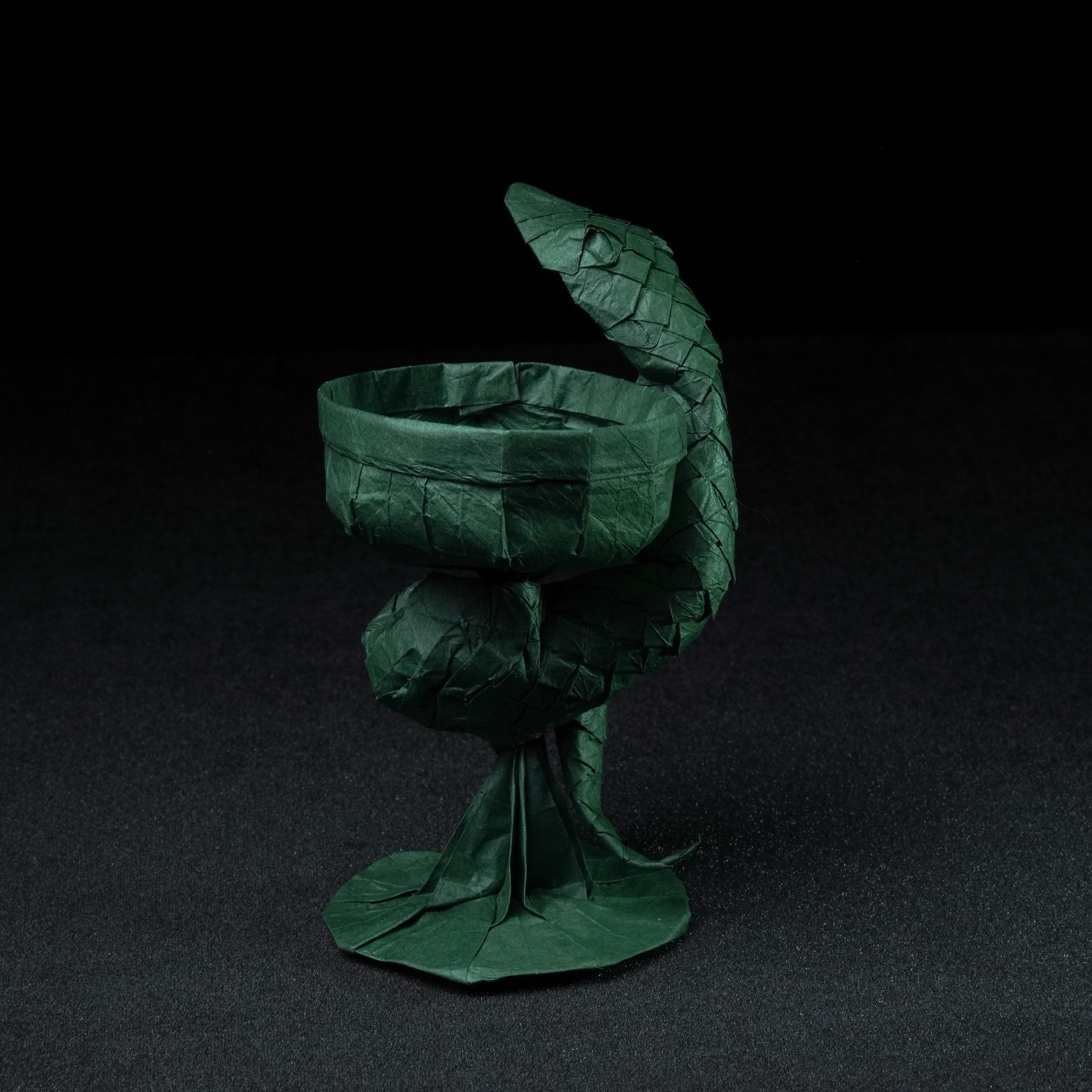 Чаша Гигиеи — Андрей Ермаков (IOIO X)