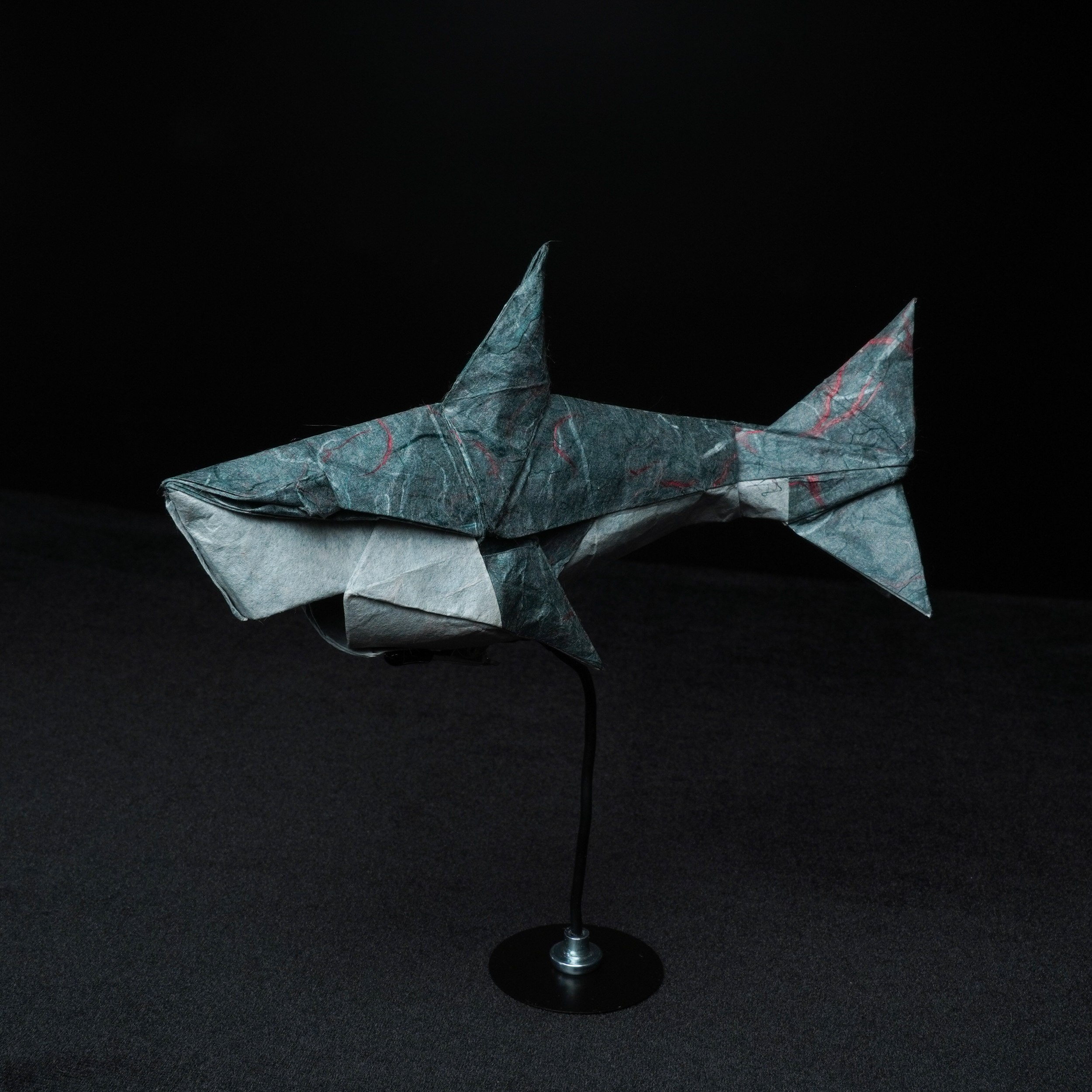 Shark — Tu Kaiming (IOIO X)