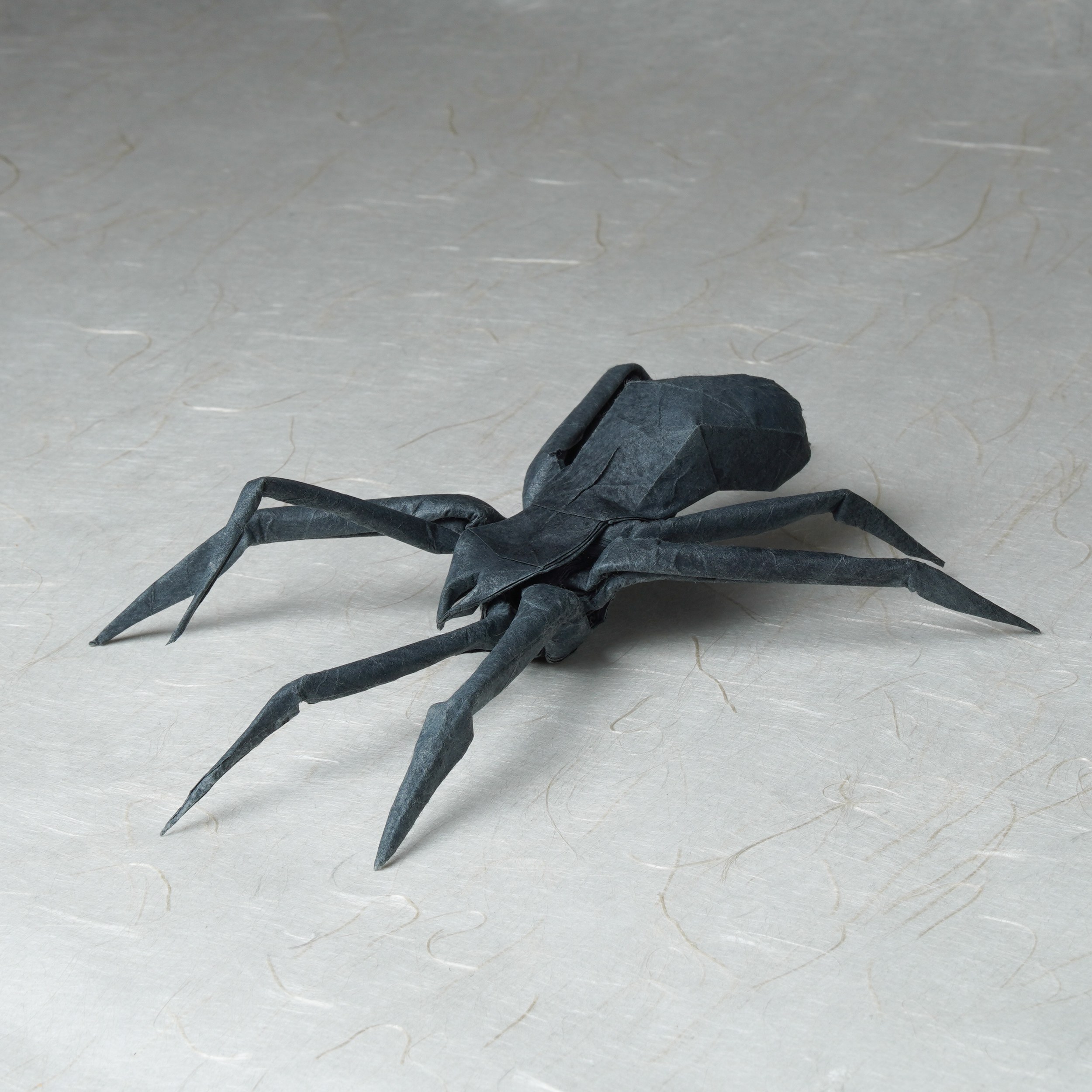 Паук HP — Андрей Ермаков (IOIO X)